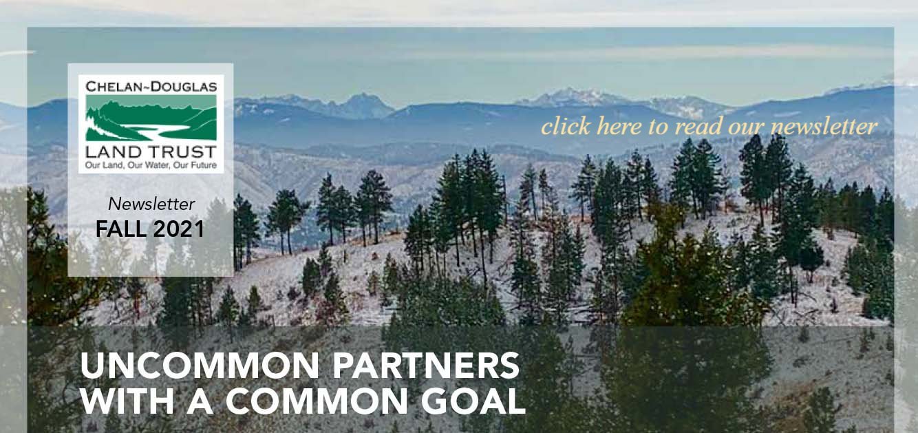 Fall 2021 Newsletter