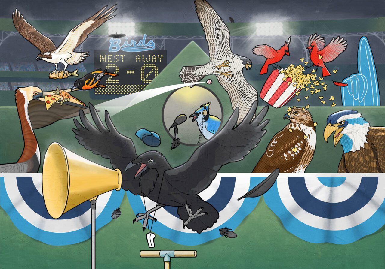 birds and superbowl