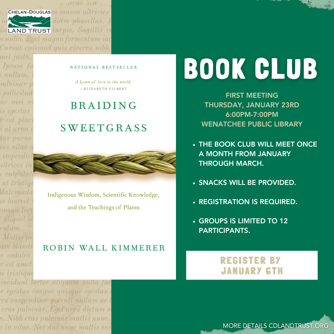 book club 