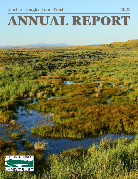 annual report