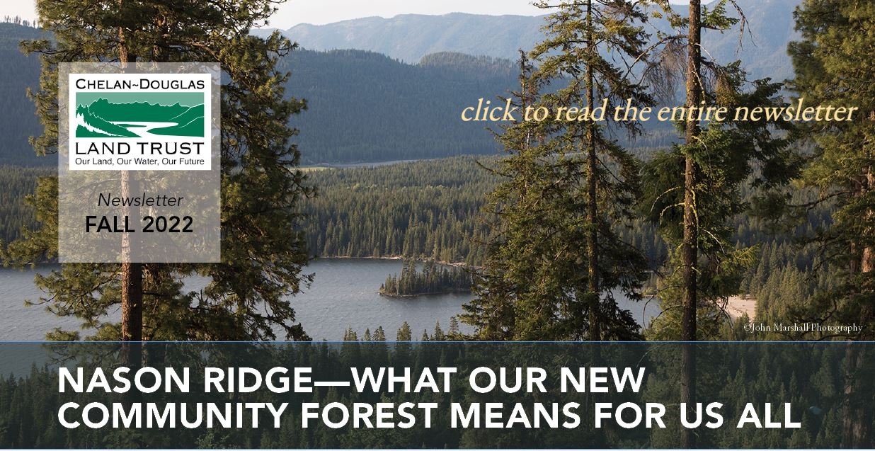 CDLT website