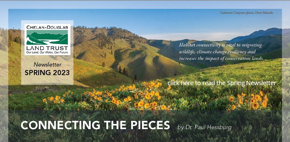 latest newsletter