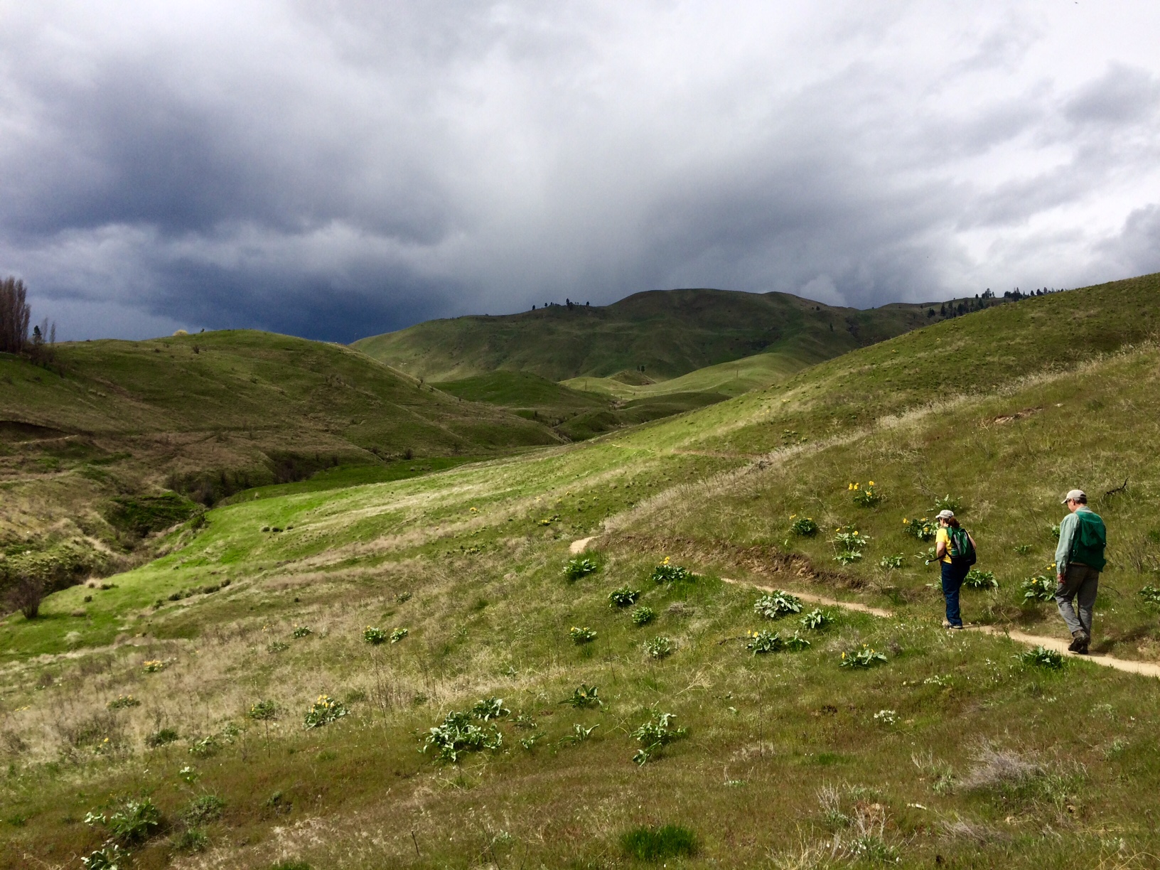 hikers on a trail