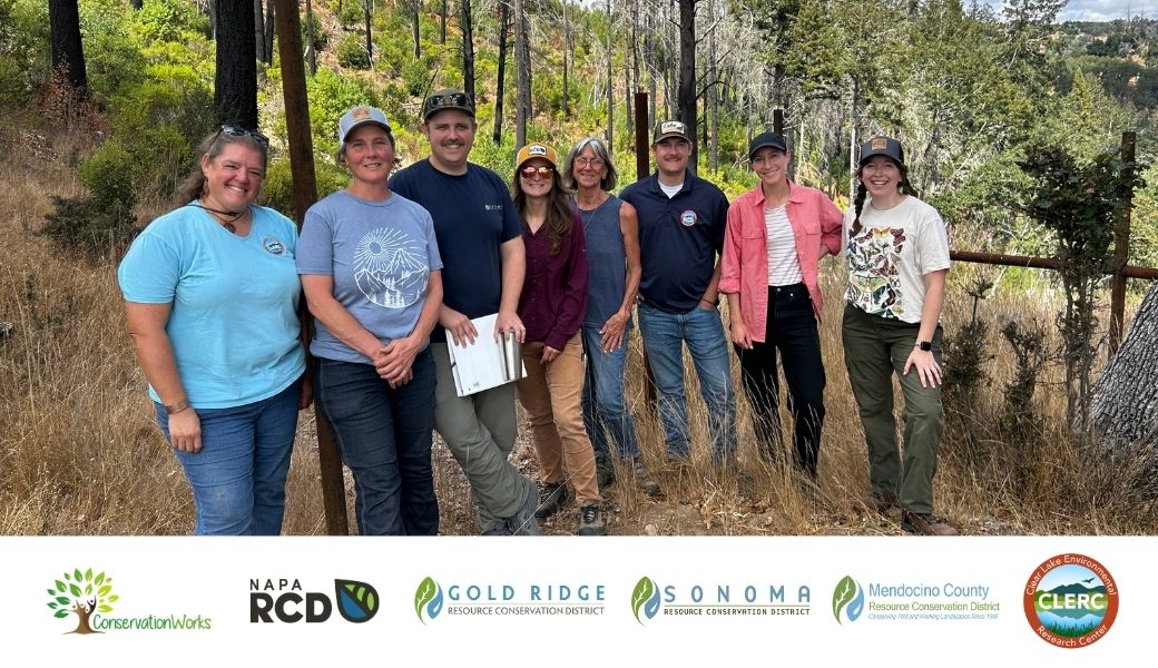 North Bay Forest Improvement Program