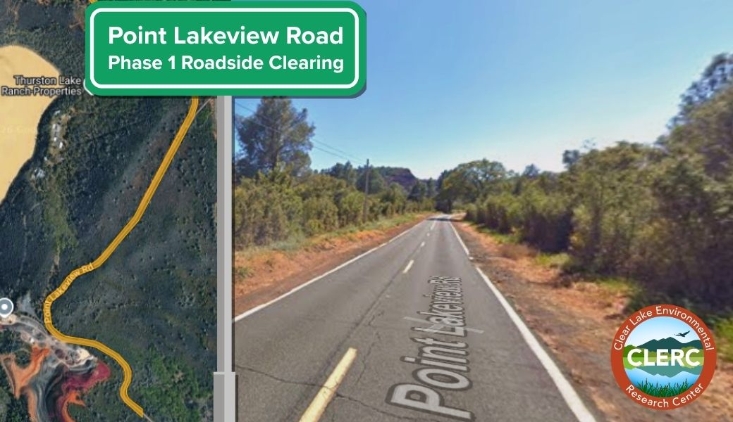 Point Lakeview Road Phase 1