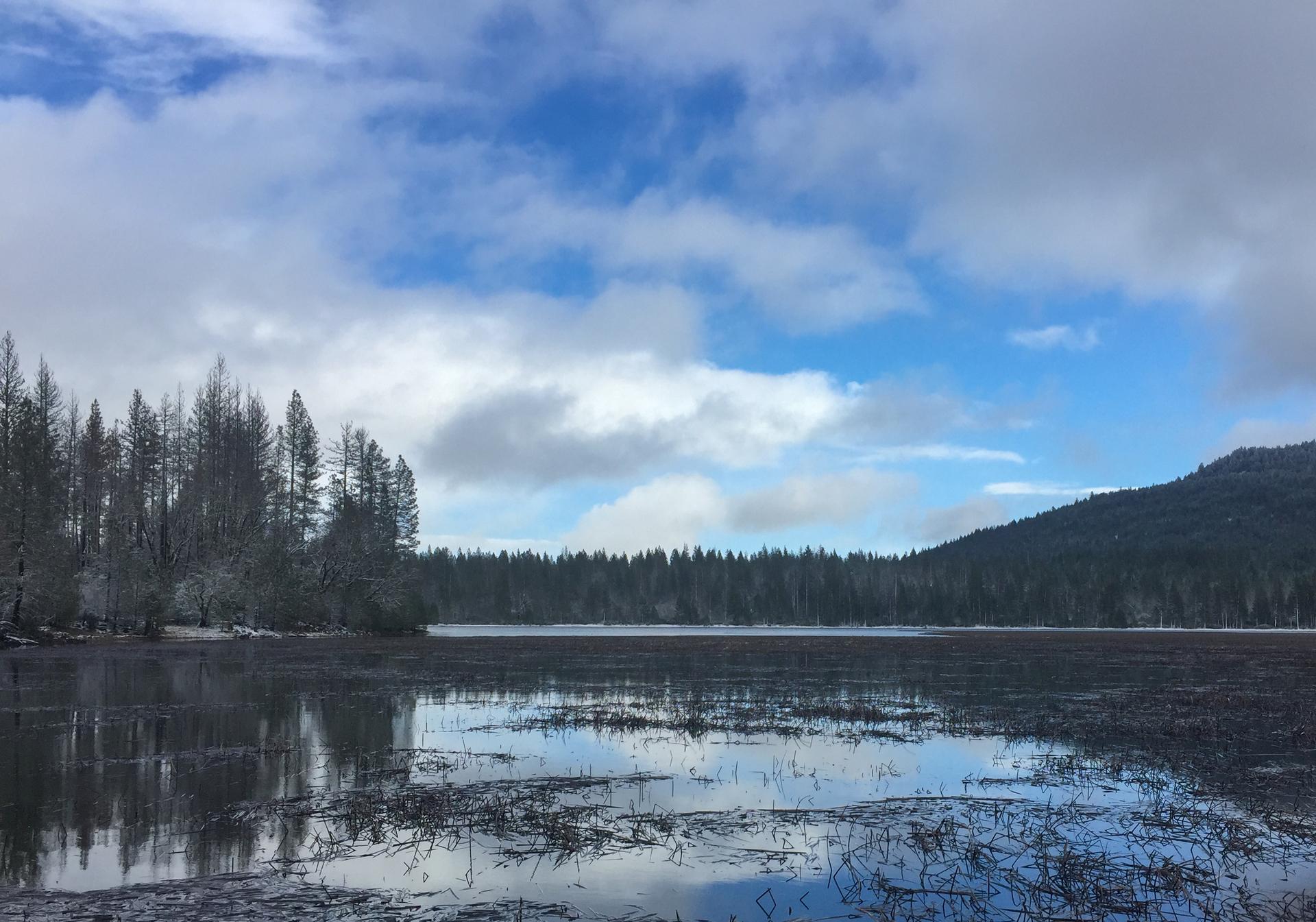 Winter Work on the Ground and at Home