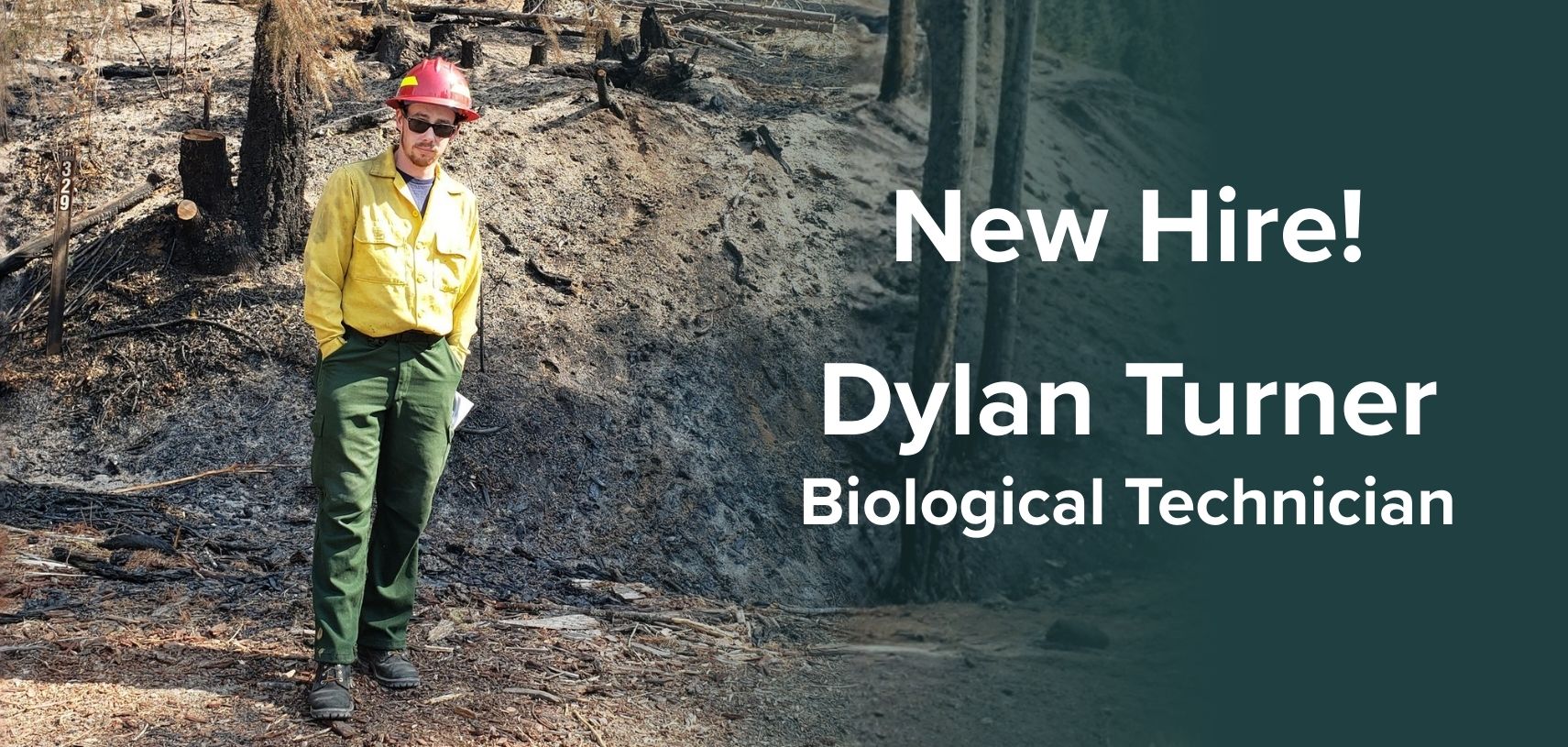 New Hire - Dylan Turner
