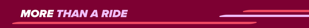 divider graphic for first section