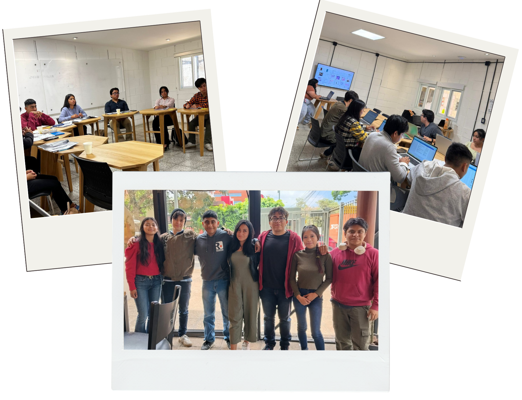 primer cohorte barista