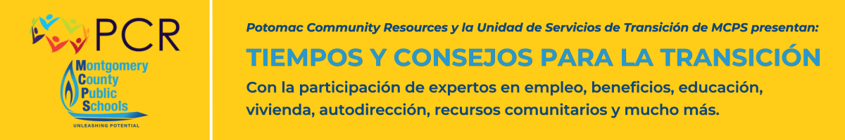 Tiempos y Consejos para la Transición