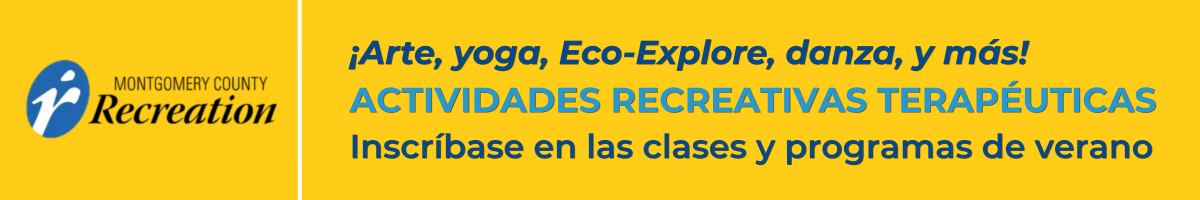 Tiempos y Consejos para la Transición