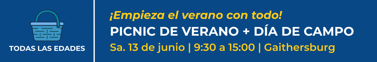 Picnic de verano y Día de campo