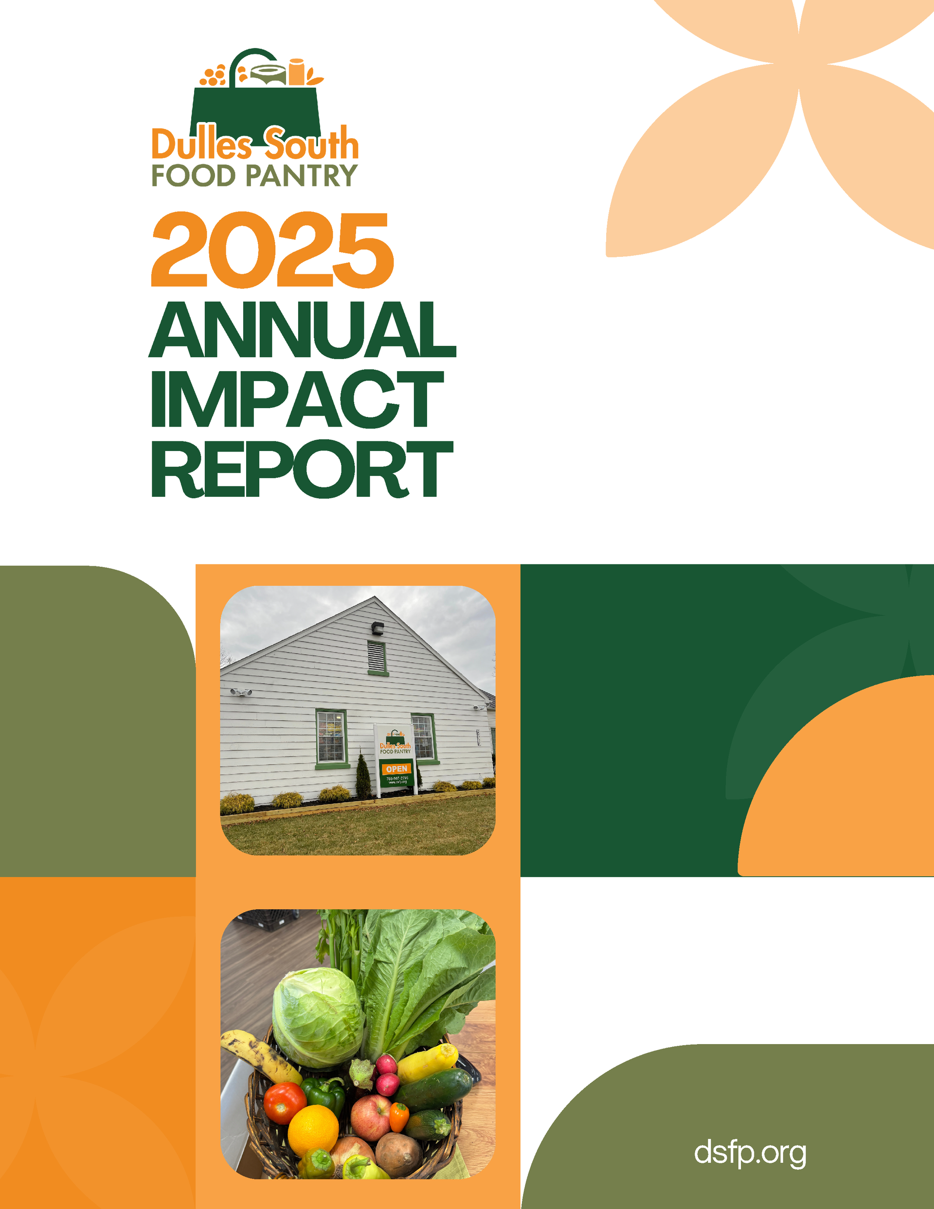 Image of front cover of the DSFP 2025 Annual Impact Report