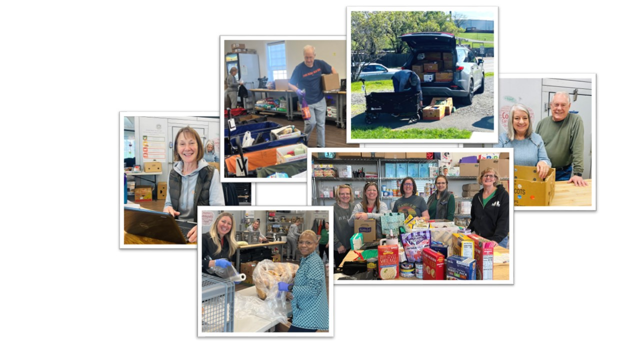 Collage image of several volunteers at different steps in the cycle of service