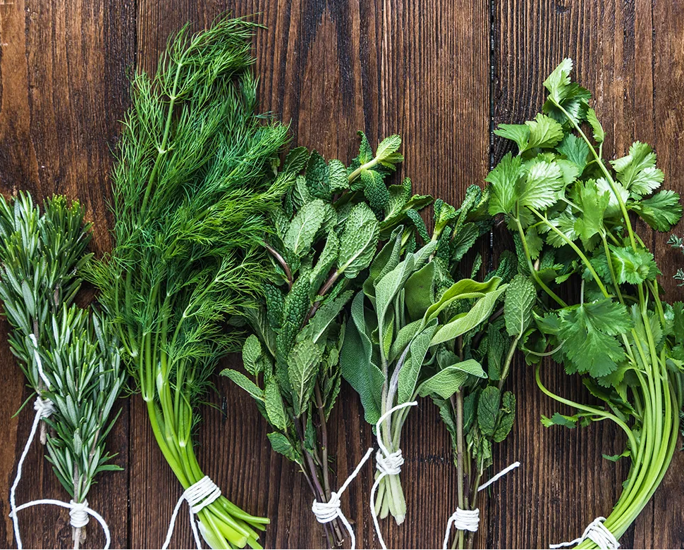 bunches of fresh herb bundles