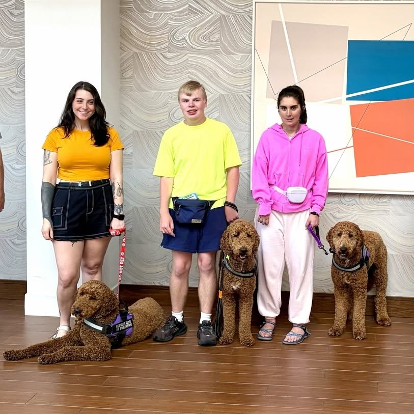 Photo of newly certified seizure response dogs 