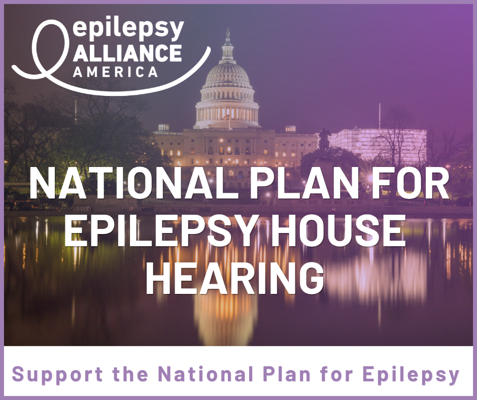 National Plan for Epilepsy Graphic 