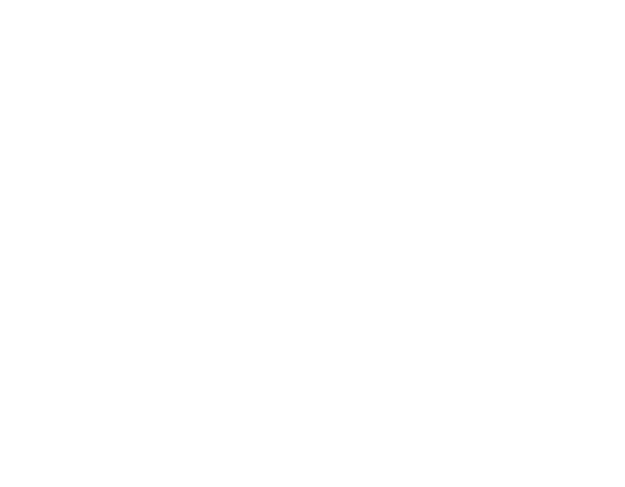 Logo Graphic