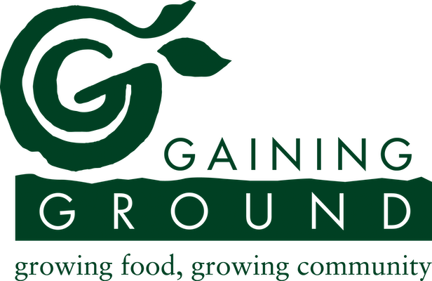Logo Graphic