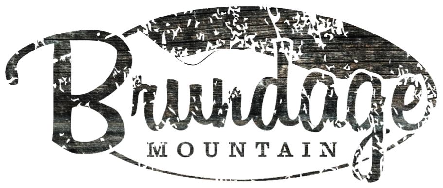  Brundage