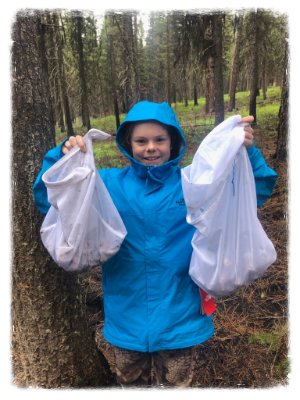 Morel Hunting