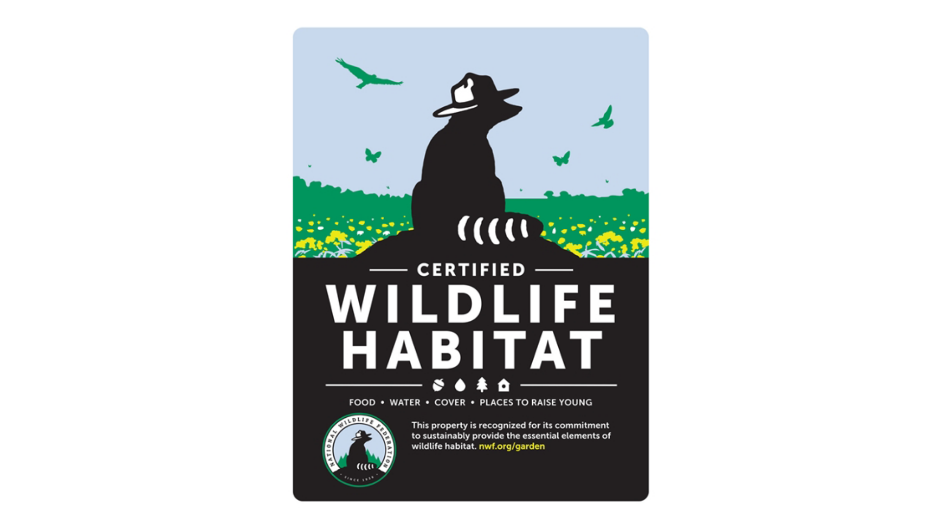 Untitled%20Design%20%2827%29 - Minnesota Wildlife Federation