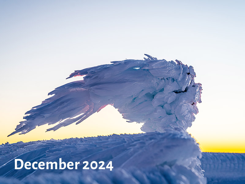 rime ice