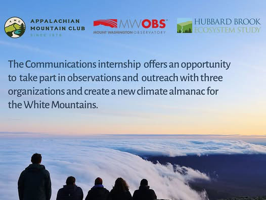 Collaborative internship