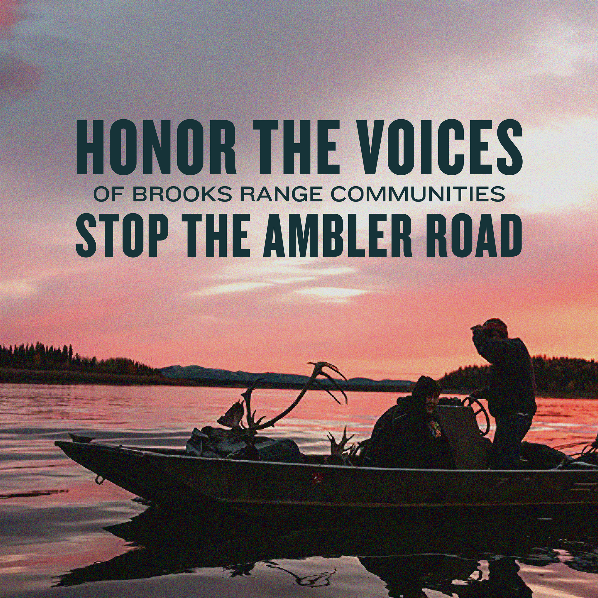 An infographic reads: Honor the voices of Brooks Range communities. Stop the Ambler Road. The photo behind the text is a pink, grey, and purple sunset over a river and a person steering a small skiff with harvested animals at front.