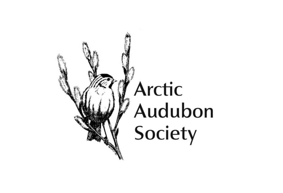 The Arctic Audubon Society logo features a small drawing of a bird sitting on a branch in black and white
