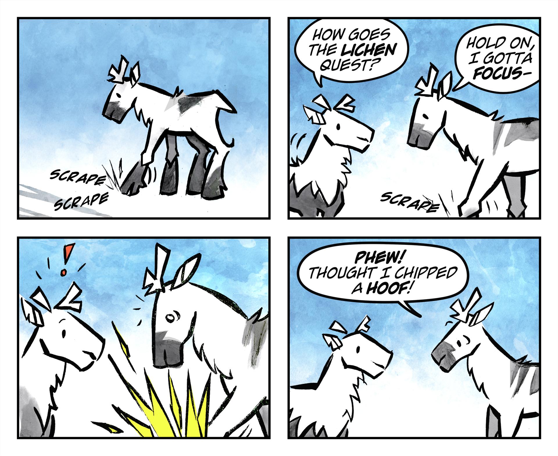 This four block comic strip features two caribou. The first frame shows a cartoon caribou scraping the ground with its hoof. The second frame shows one caribou asking the other, ''How goes the lichen quest?''. The other caribou replies, ''Hold on, I gotta focus.'' In the third frame, the caribou both look down as yellow light marks emerge from the bottom of the frame. The fourth frame shows one caribou stating to the other, ''Phew! Thought I chipped a hoof!''.