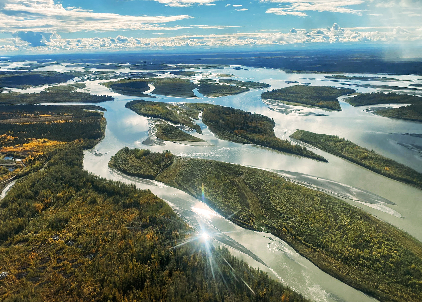 An aerial image of a braided river and surrounding trees and tundra. The sun is reflecting in the river.