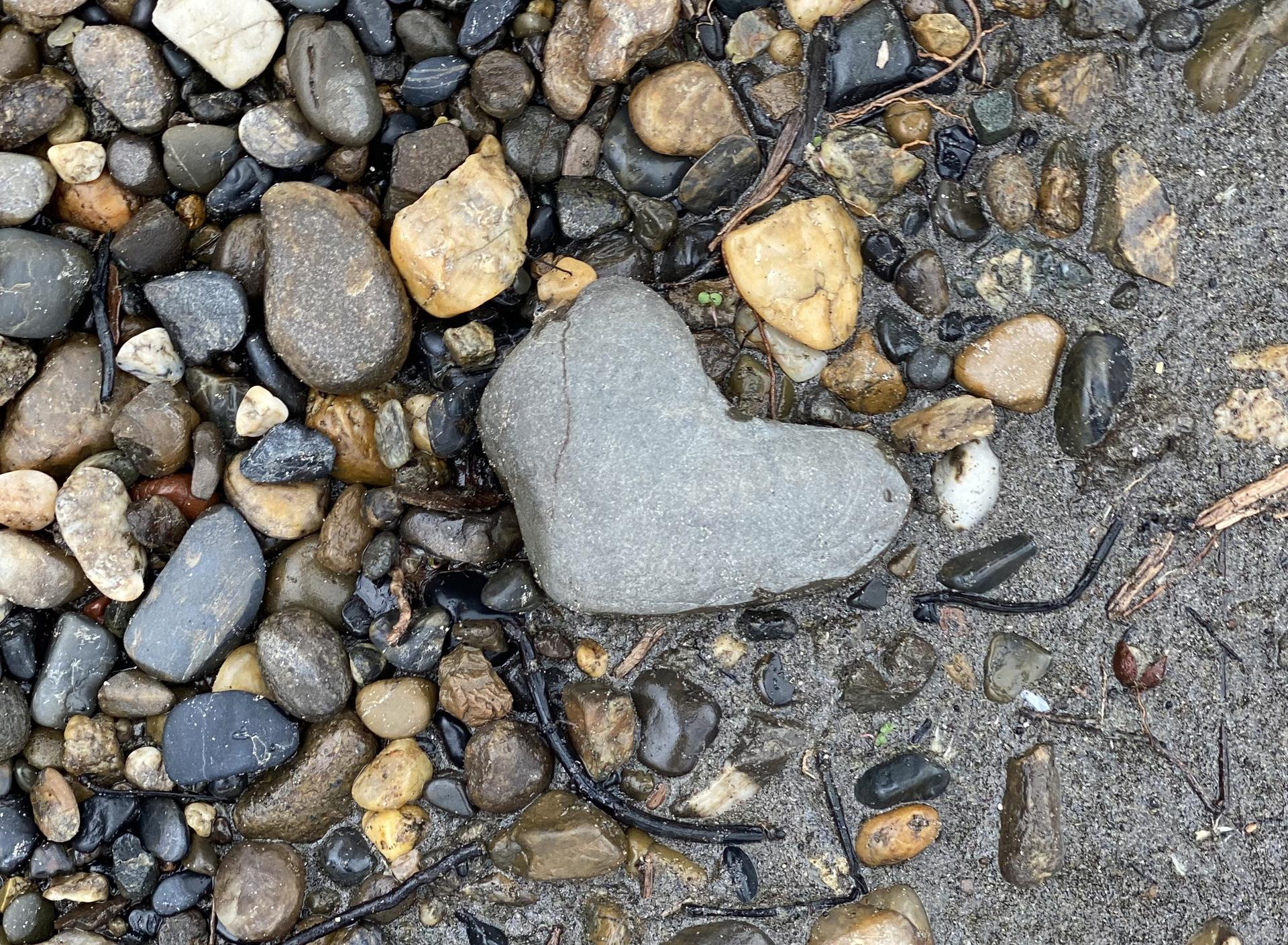 A grey, heart-shaped rock is visible among other, smaller rocks and pebbles on the edge of a beach.