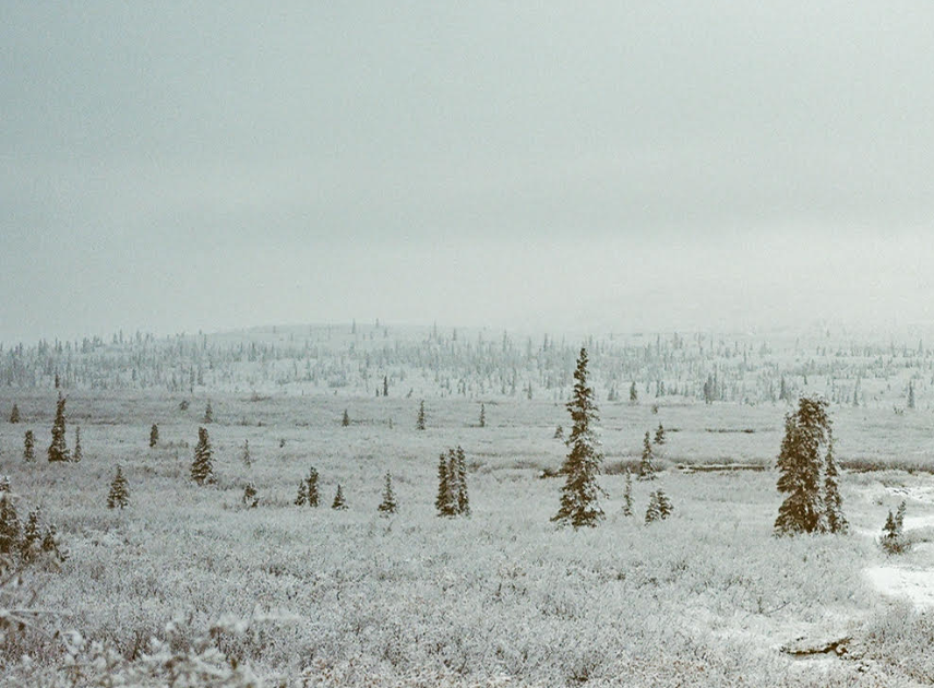 A dusting of snow and thick fog clouds cover a hilly and brushy landscape. 