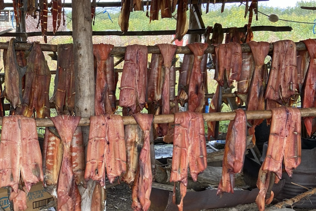 Rows of salmon are hung on wooden poles to dry.