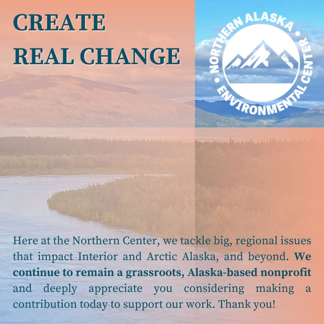This is an infographic with the Northern Center logo in white at top right. The bold, all caps text at top left says: “Create Real Change”. Beneath, at the bottom, the text reads: “Here at the Northern Center, we tackle big, regional issues that impact Interior and Arctic Alaska, and beyond. We continue to remain a grassroots, Alaska-based nonprofit and deeply appreciate you considering making a contribution today to support our work. Thank you!” The image in the background is of a blue winding river, with forested river banks and a mountainous horizon. There are two pale orange gradients that cover 3/4 of the image to soften the image. 