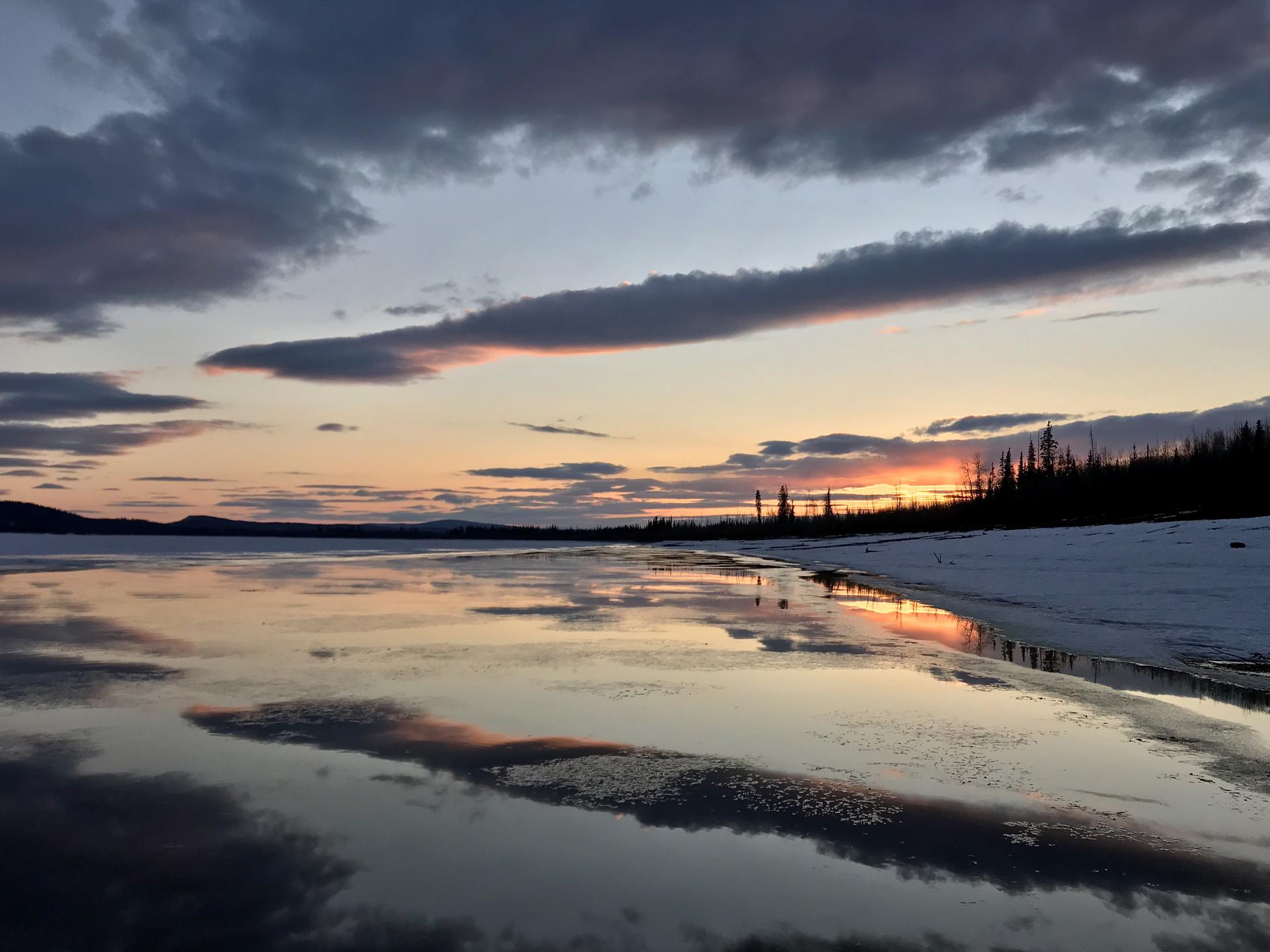 The sun sets behind spruce trees in the distance, along the banks of the Yukon River. 