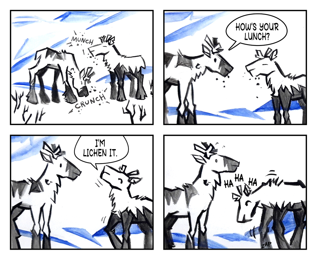 In this four block comic strip, artist Hazard Hughes shows two cartoon caribou in black and white (with a blue streaky background) eating. One caribou asks the other, ''How's your lunch?'' and the other caribou replies, ''I'm lichen it.'' The final block of the cartoon shows the two caribou laughing.