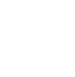 Osprey Village Logo Graphic