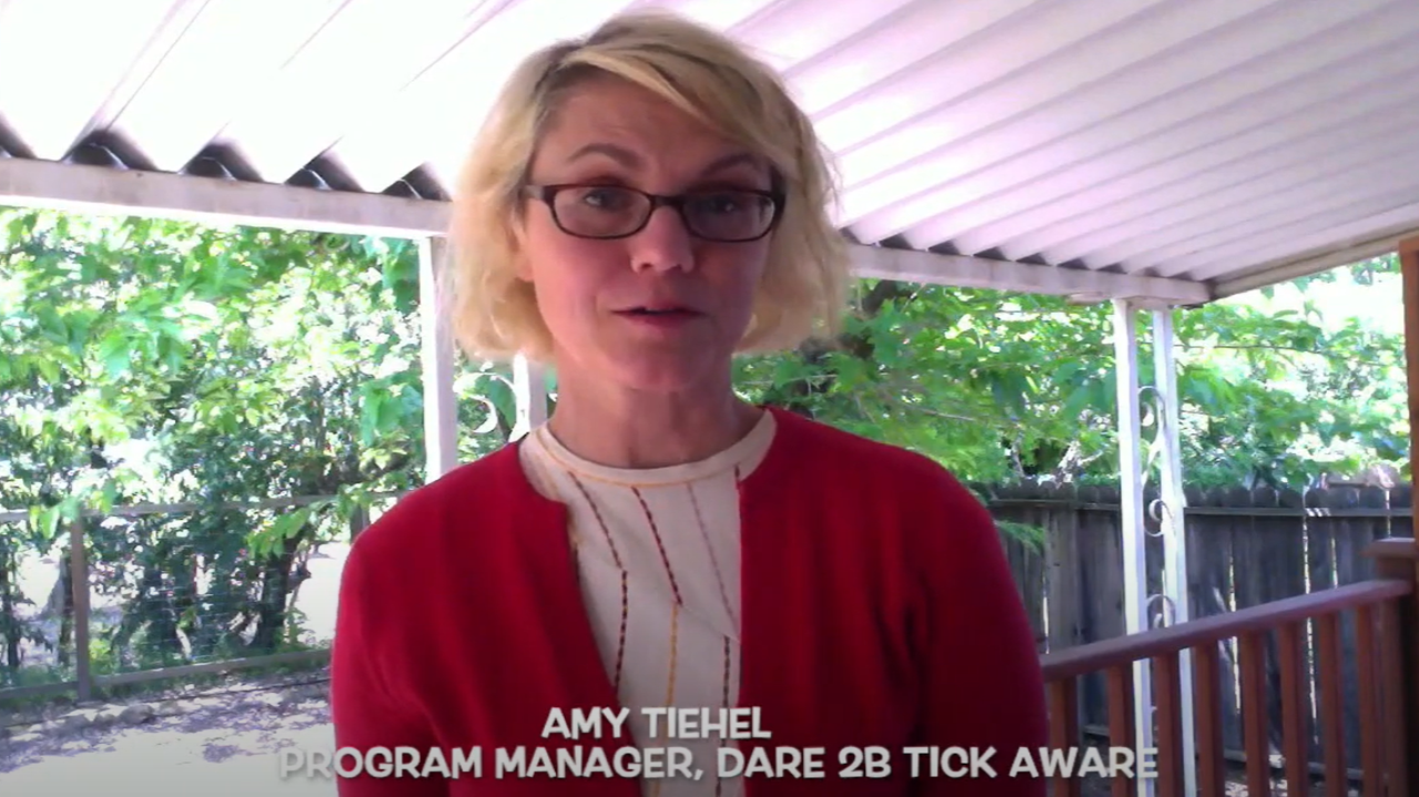 amy-tiehel amy-tiehel
