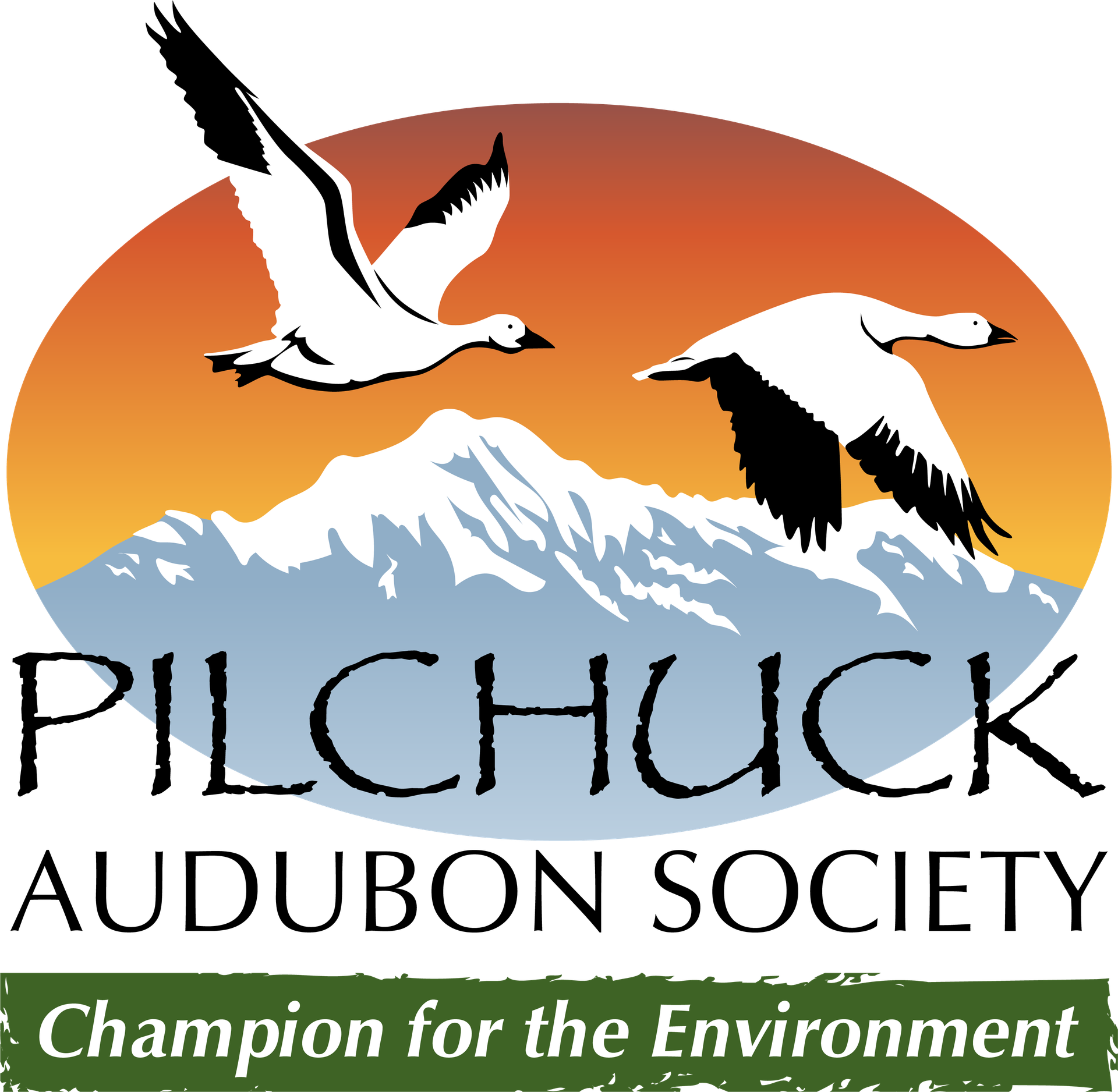 Logo Graphic