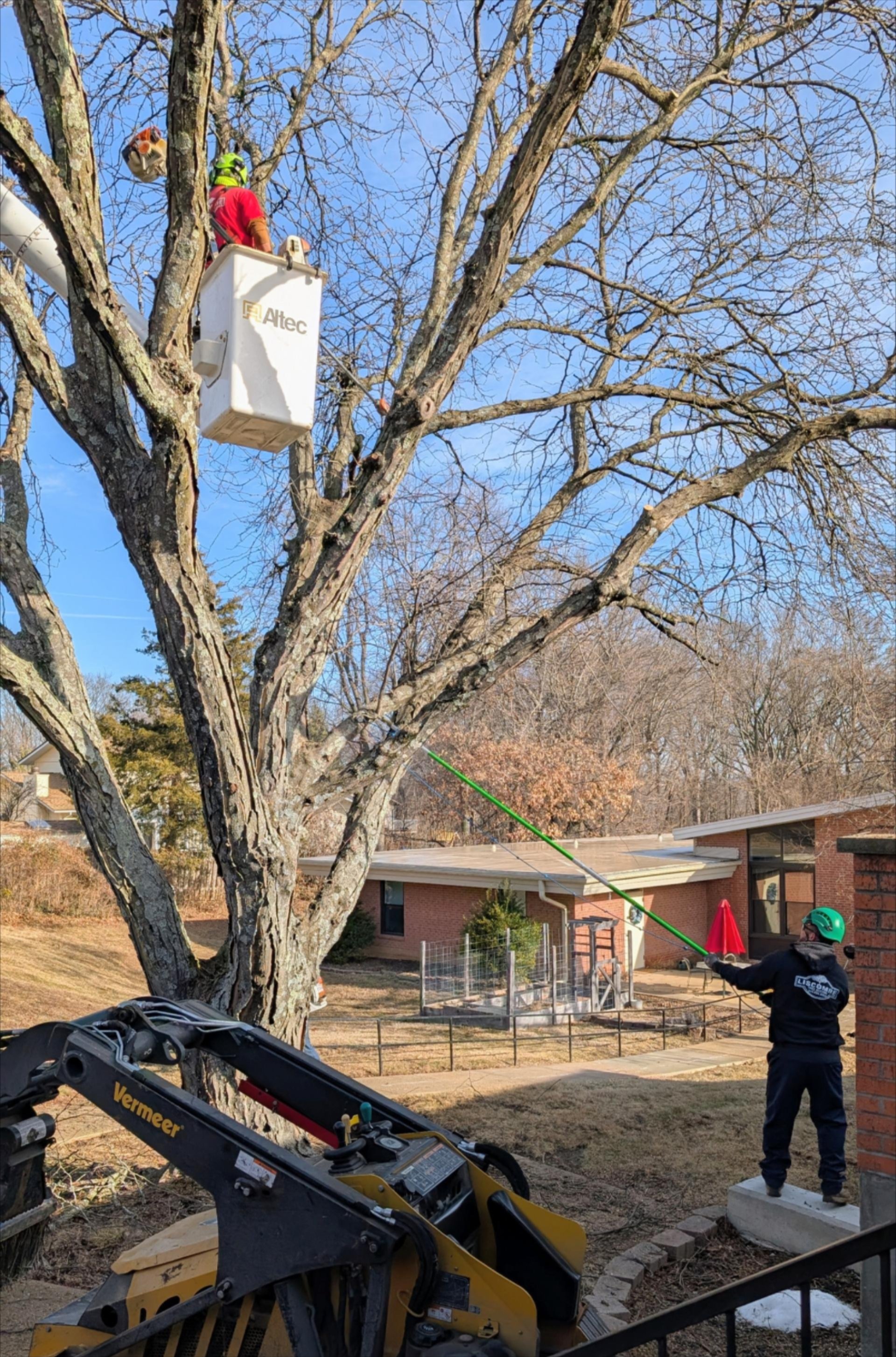 Liscombe Tree Services