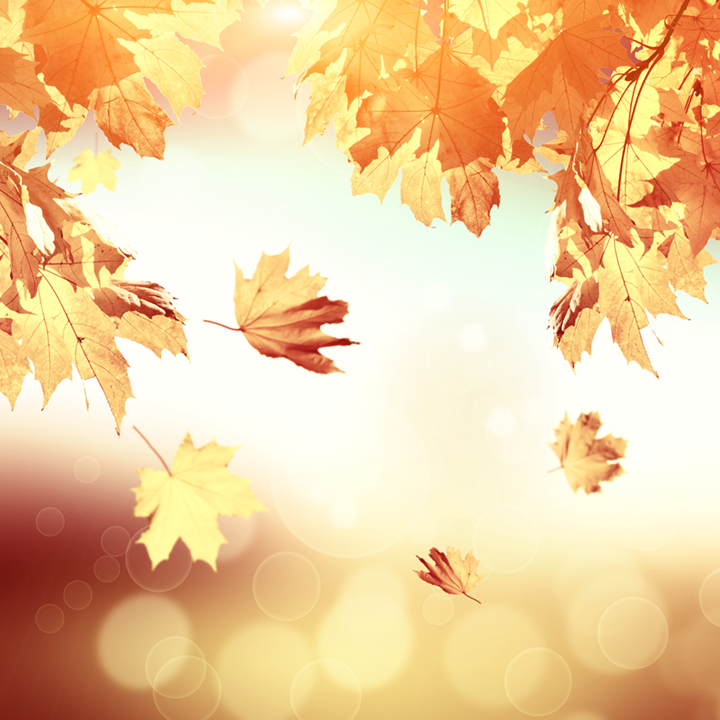 RecoveryWorks Lakewood, CO newsletter image