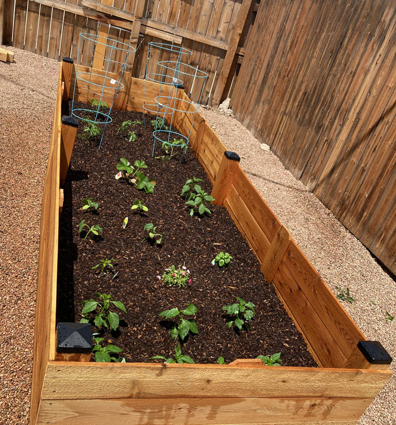 RecoveryWorks Lakewood, CO newsletter image