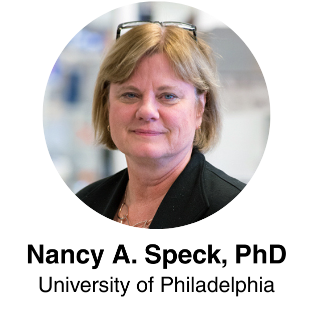 Dr. Nancy A. Speck Headshot