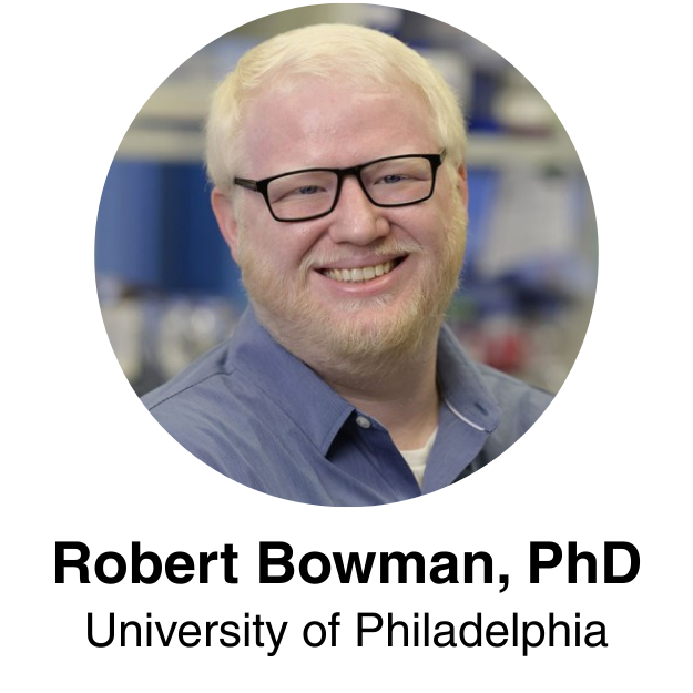 Dr. Robert Bowman Headshot