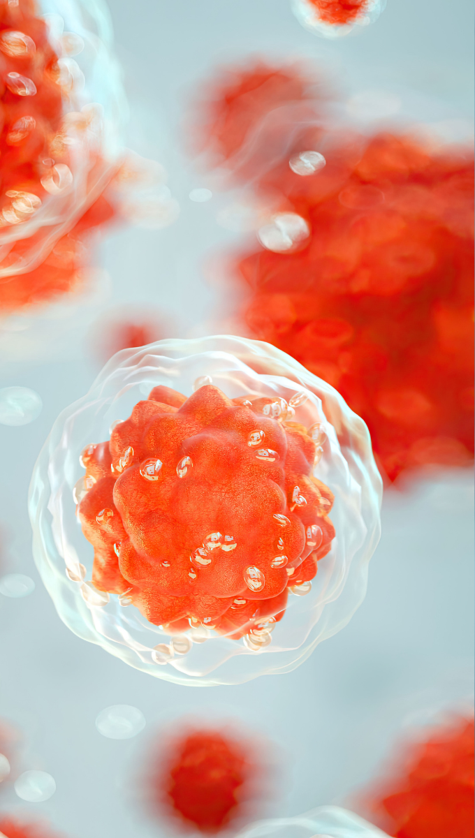Image showing rendered view of stem cells