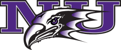 Niagara University Purple Eagles logo
