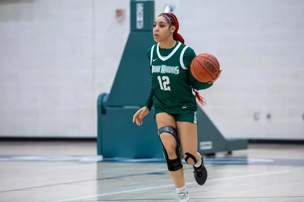 Night Hawks Overthrow Lady Barons