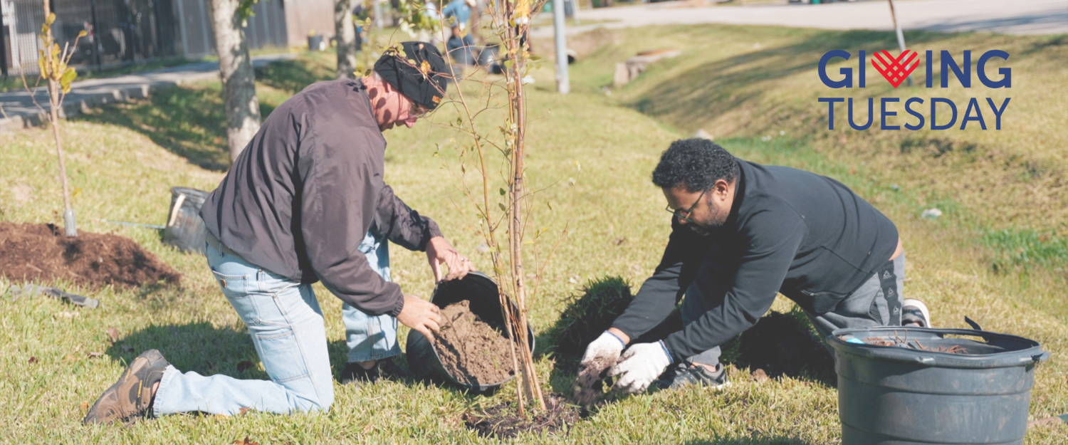 Giving Tuesday — Trees For Houston